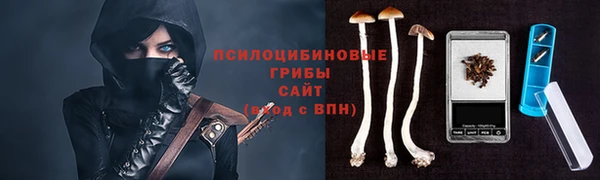 ПСИЛОЦИБИНОВЫЕ ГРИБЫ Киренск