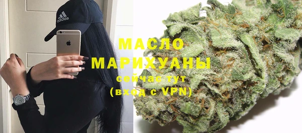 соль ск Няндома