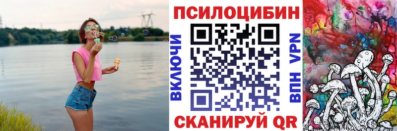 Псилоцибиновые грибы Psilocybe  Карталы 